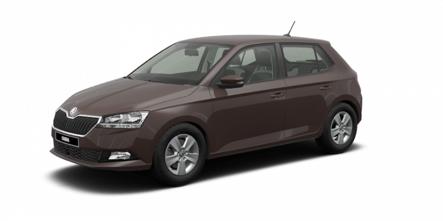 Škoda Fabia, 1,0 MPI 55 kW 5-stup. mech., barva hnědá