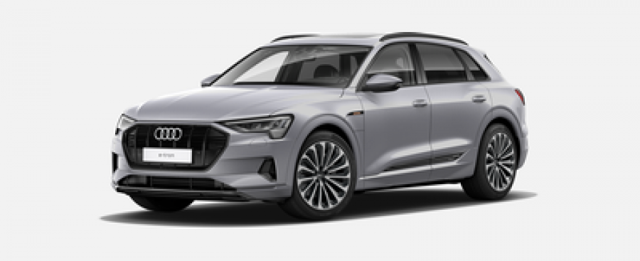 Audi e-tron, Advanced 55 quattro 265 kW, barva stříbrná