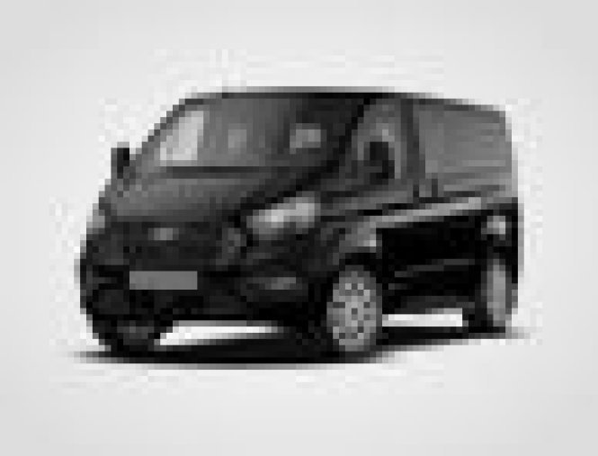 Ford Tourneo Custom, 2.0 EcoBlue, barva černá