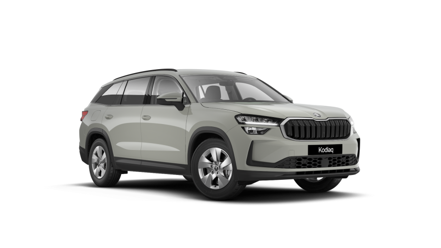 Škoda Kodiaq, 2,0 TDI 110 kW 7° automatická DSG, barva šedá