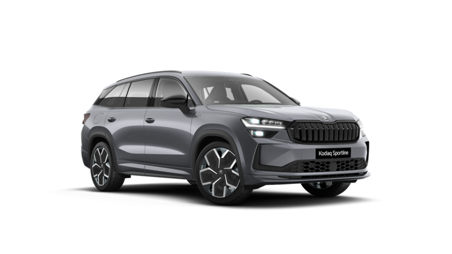 Škoda Kodiaq, 2,0 TDI 142 kW 7-stup. automat. 4x4, barva šedá