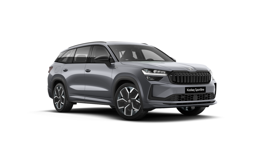 Škoda Kodiaq, 2,0 TDI 142 kW 7-stup. automat. 4x4, barva šedá