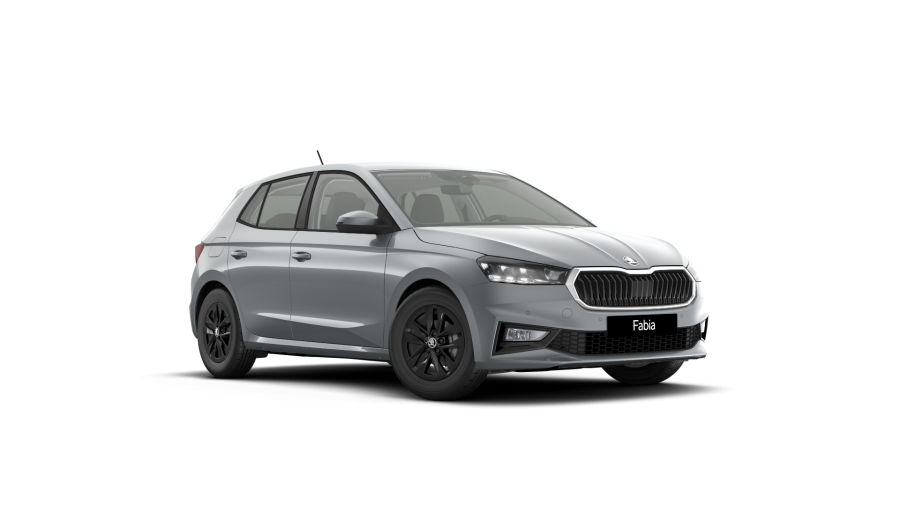 Škoda Fabia, 1,0 MPI 59 kW 5-stup. mech., barva stříbrná