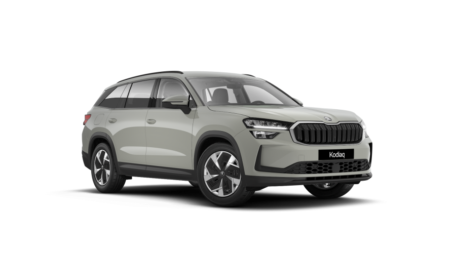 Škoda Kodiaq, 2,0 TDI 142 kW 7-stup. automat. 4x4, barva šedá