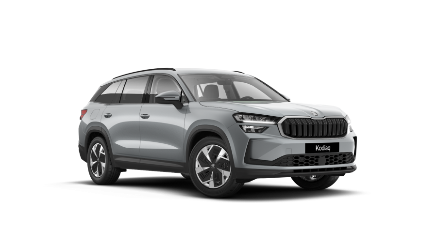 Škoda Kodiaq, 1,5 TSI m-HEV 110 kW 7-stup. automat., barva stříbrná