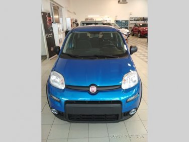 Fiat Panda - 1.0 70k COLD Italia