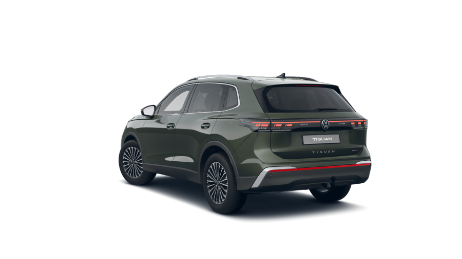 Volkswagen Tiguan, Tiguan Elegance 2,0 TDI 142 kW 4MOT, barva zelená