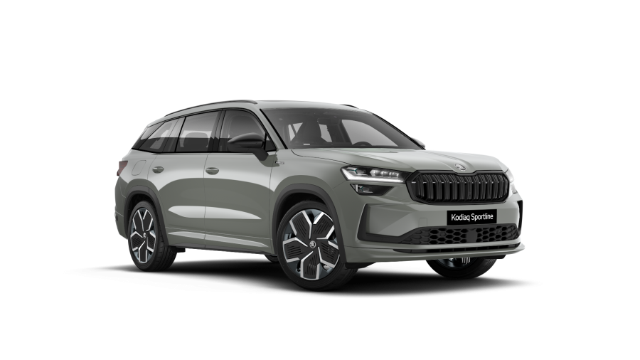 Škoda Kodiaq, 2,0 TDI 142 kW 7-stup. automat. 4x4, barva šedá
